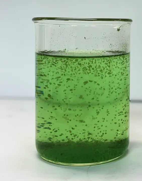 Stagnant pond water