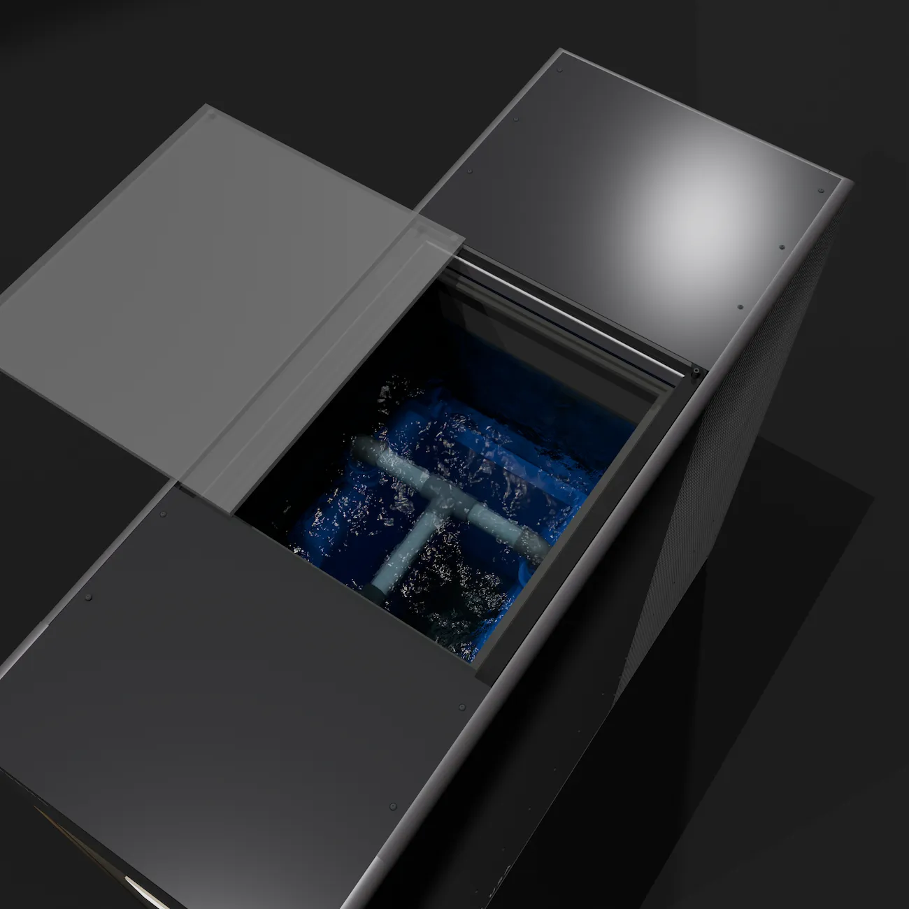 Ginseng Phantom view 2